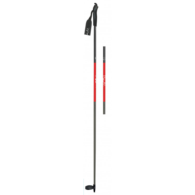 SKI POLES PIERRA MENTA CARBON - PLUM