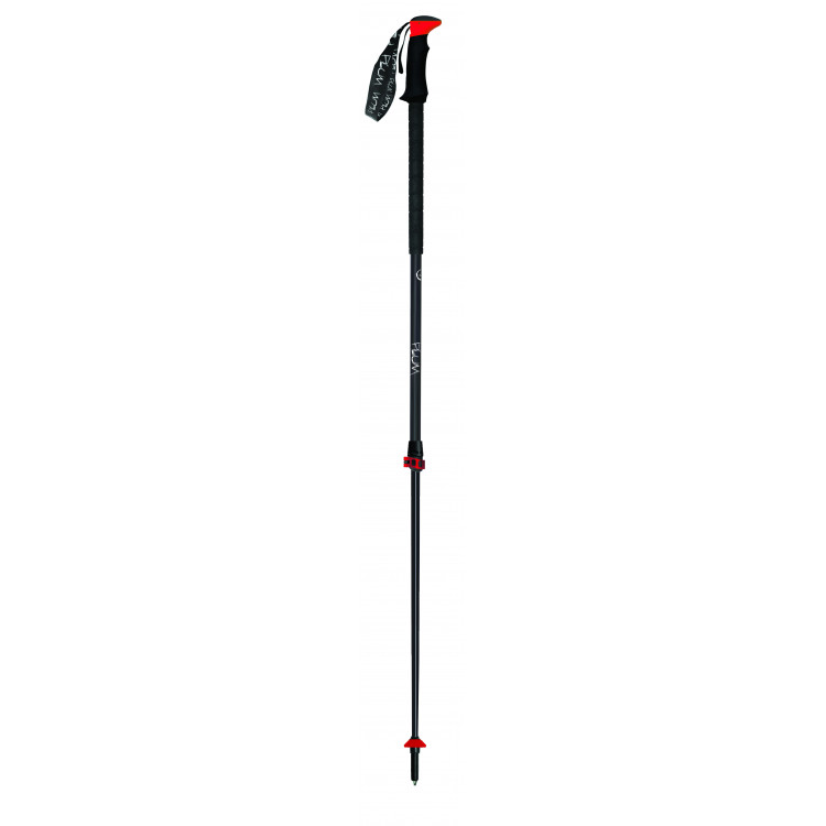 SKI POLES TRAIL TOUR FL CARBON EF - PLUM