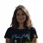 Women's PLUM t-shirt