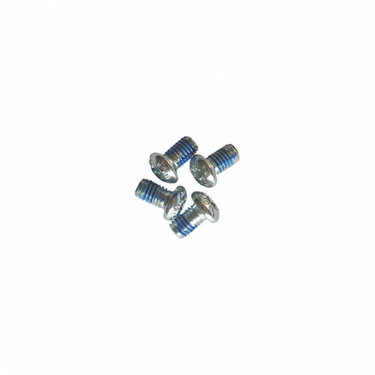 Screws for Splitboard crampons slots